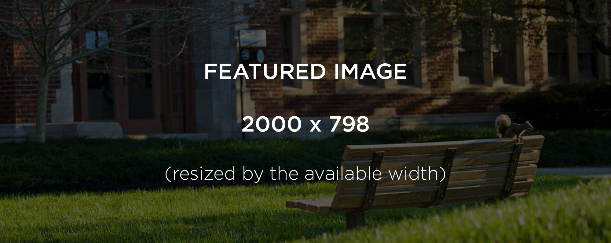 featured-image-template