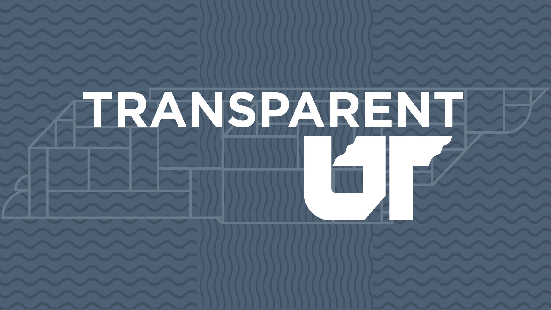 Transparent UT