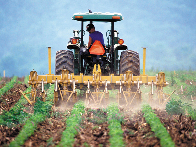 A male driving a tractor going over crops.