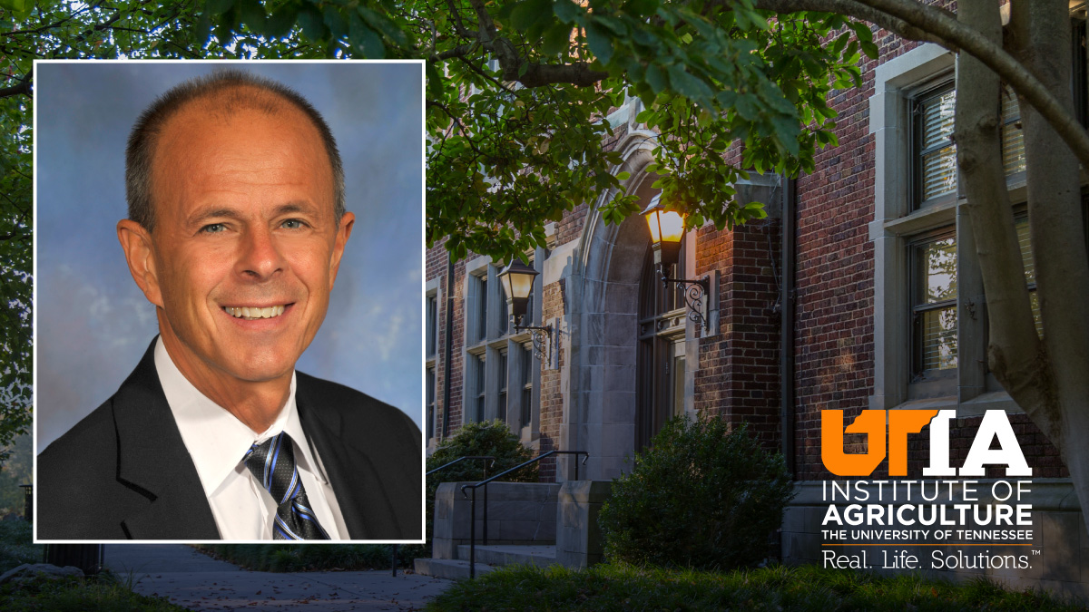 UT Institute of Agriculture’s Tim Cross Announces Plans for Retirement