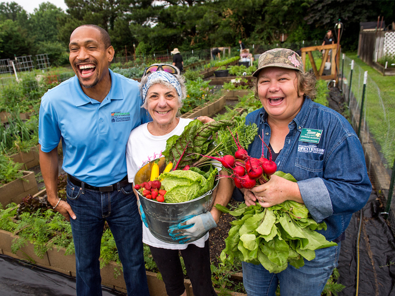 A male and two women holding a variety of vegetables from the Master Gardener's program smiling while on a farm.