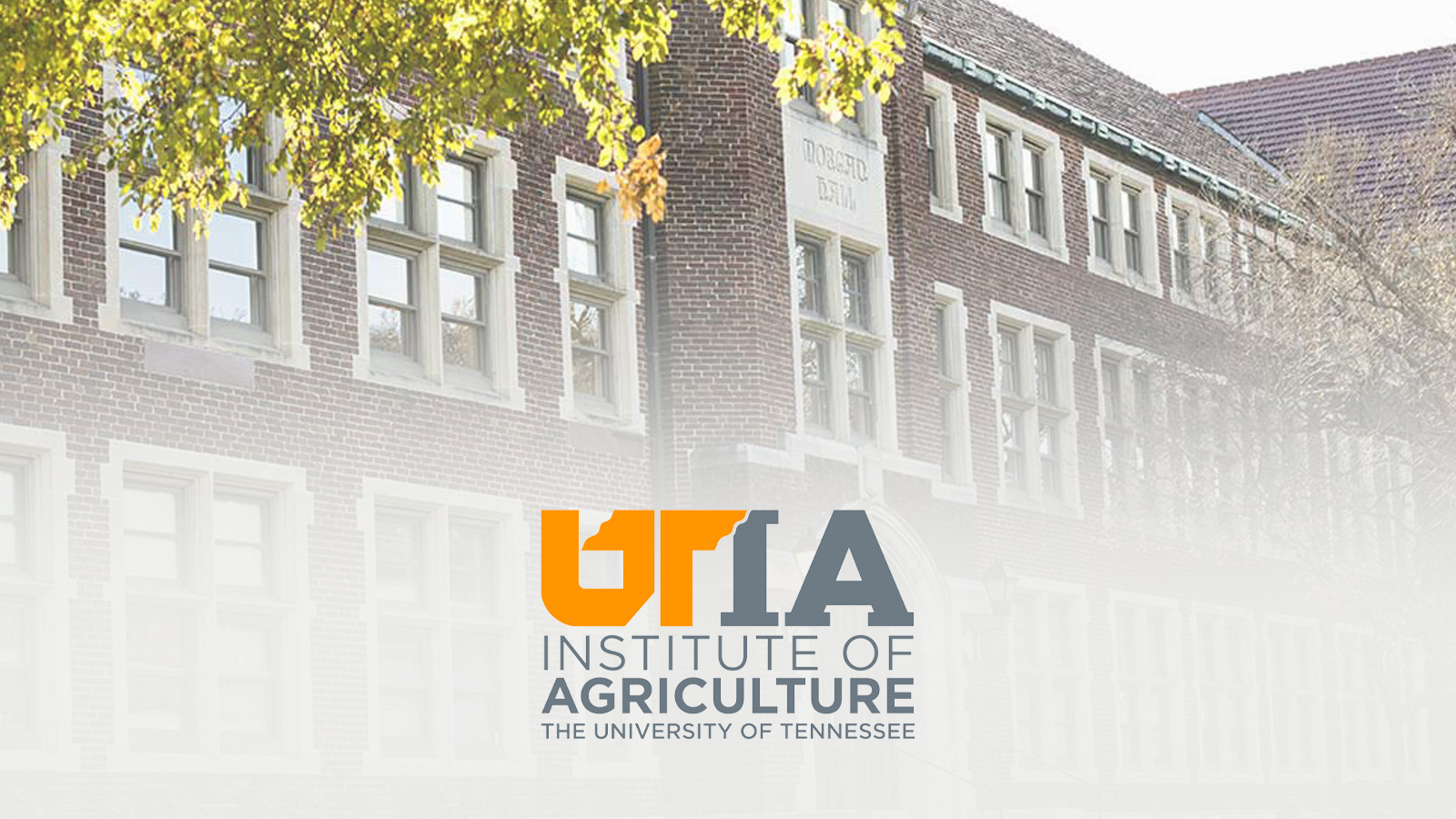 University of Tennessee Announces Statewide Townhall Meetings for Institute of Agriculture Senior Vice Chancellor/Senior Vice President