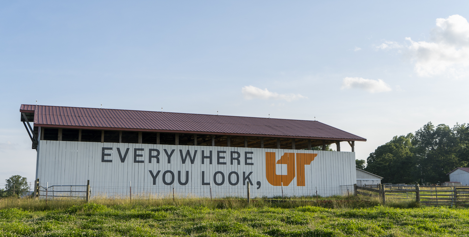 Image of the 15th mural in the Everywhere UT campaign