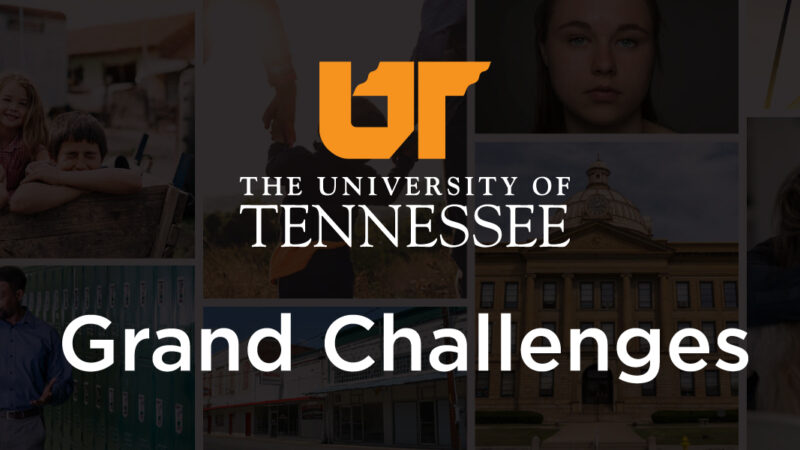 UT System Grand Challenges