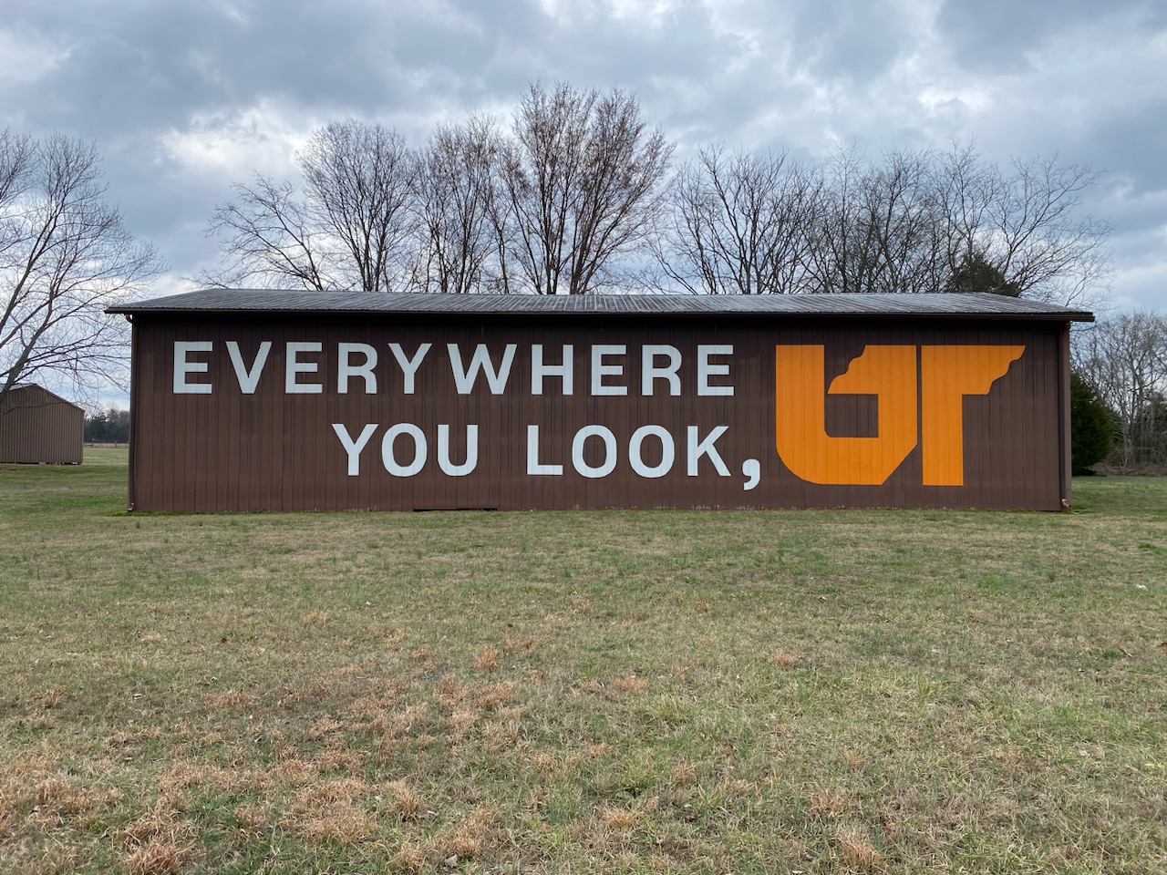 First “Everywhere You Look, UT” Mural of 2024 Painted in Rutherford County