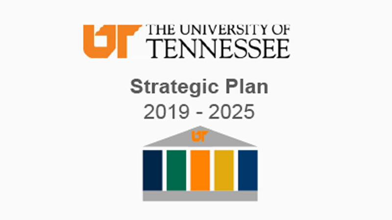 Strategic Plan 2019-2025