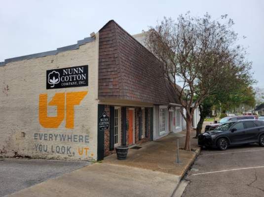 37th ‘Everywhere You Look, UT’ Mural Finds Home in Downtown Brownsville