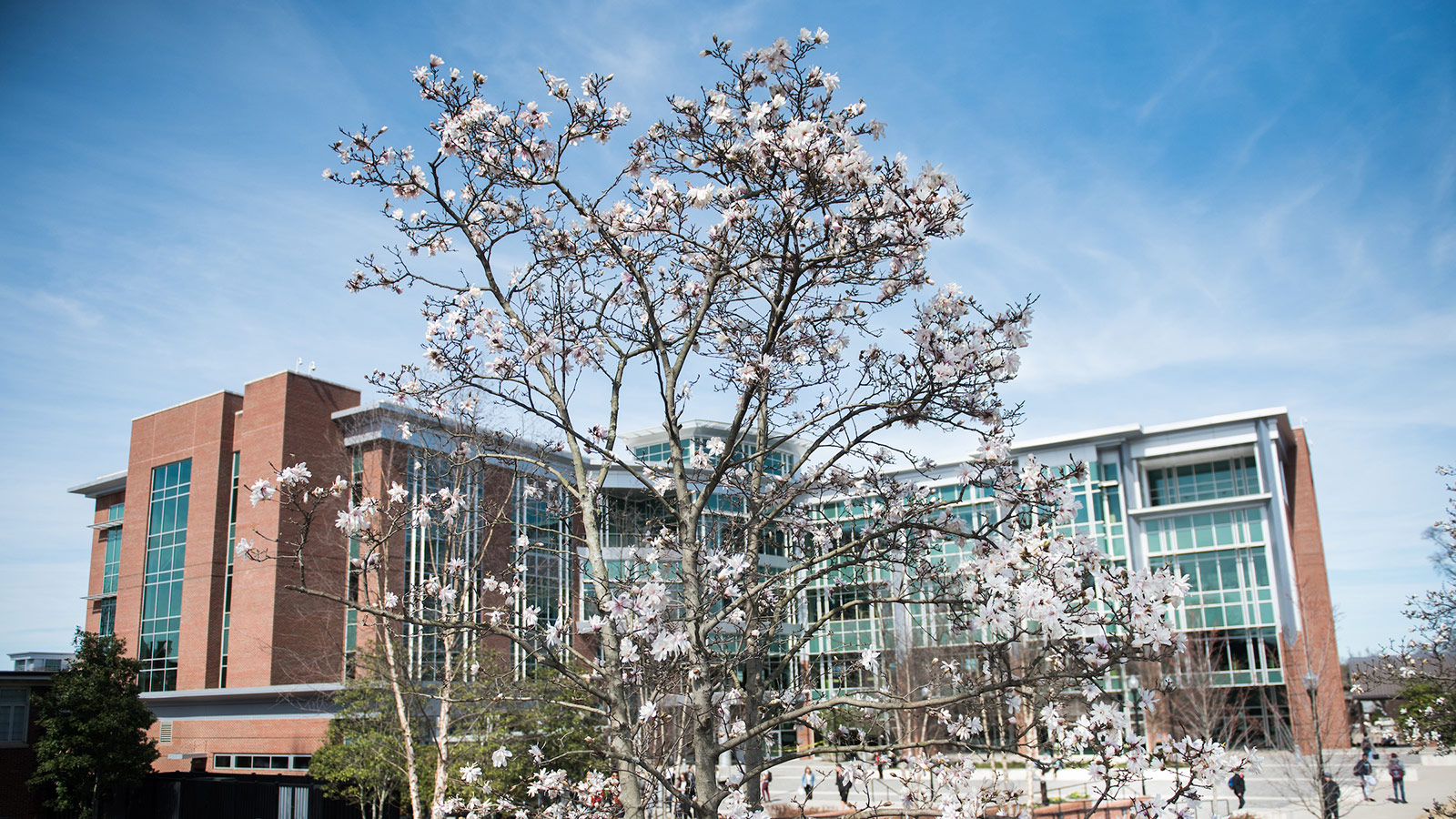 UT Board of Trustees to Meet Feb. 19 in Chattanooga