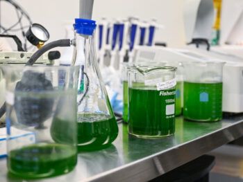 Image showing flasks holding a green liquid in a research lab.