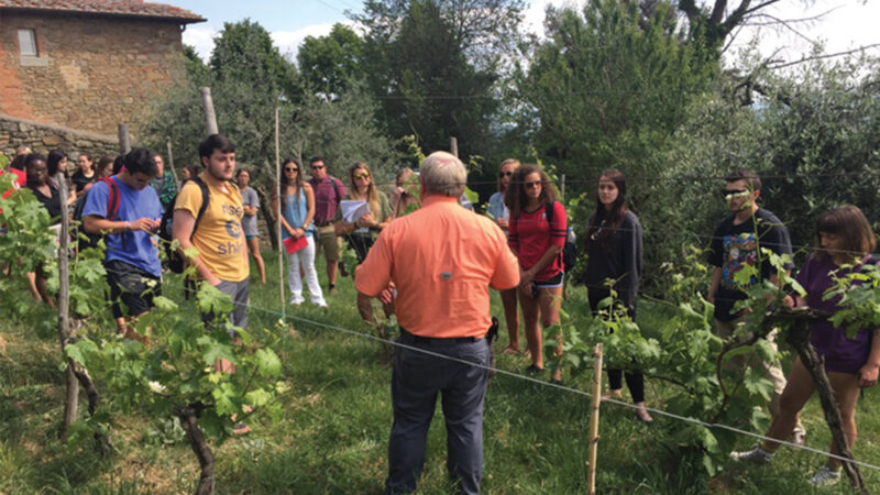 UTIA students and David Lockwood help to resurrect a vineyard in Cortona, Italy.