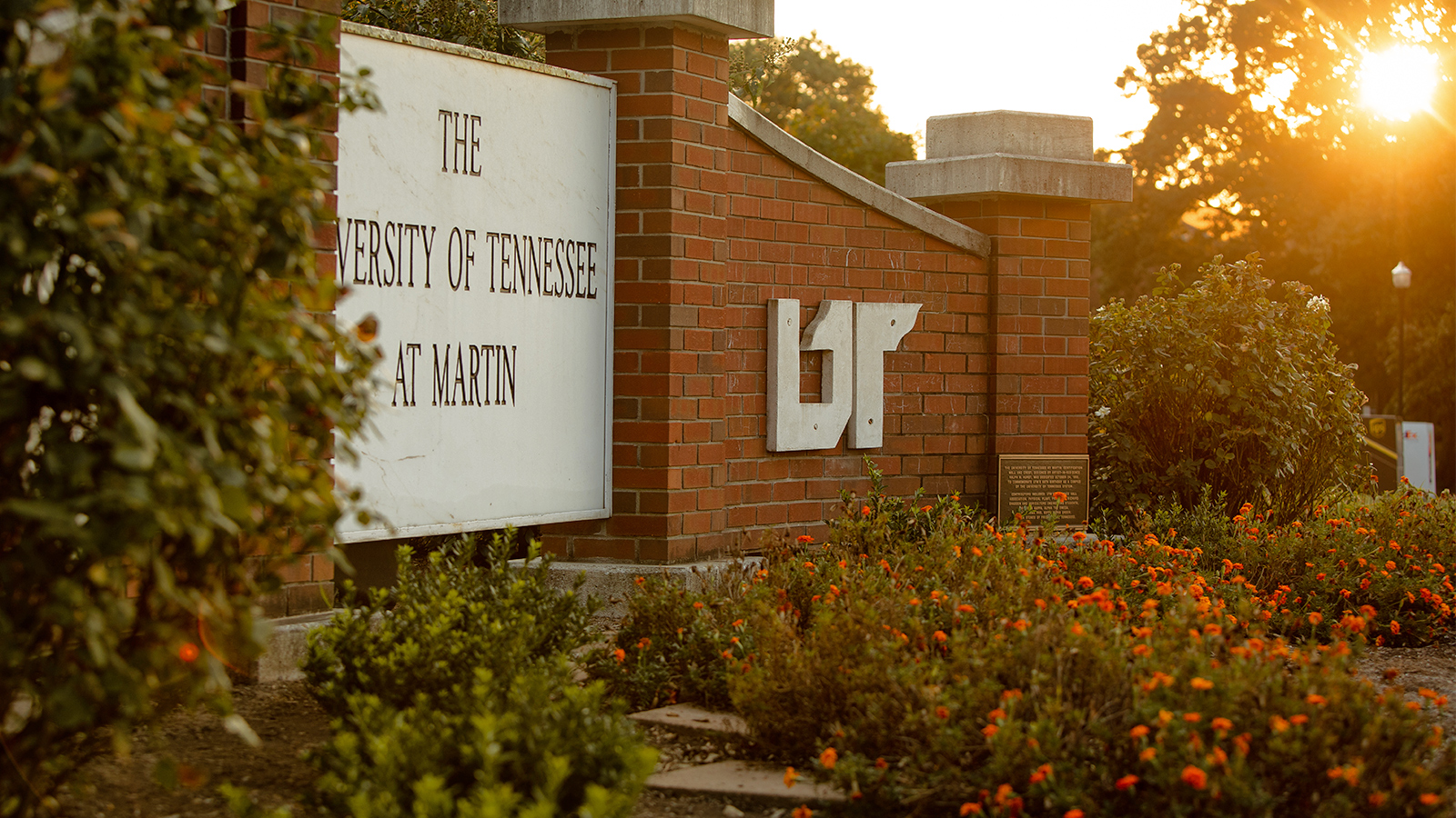 Second Finalist for UTM Chancellor Position to Participate in Public Forum June 22