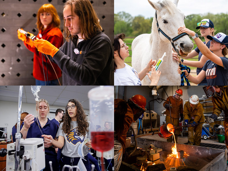 A series of four images: two students working with cabling; three students feeding a horse medication; an instructor leading a group of nursing students through IV training; a group of people pouring molten bronze into a cast.