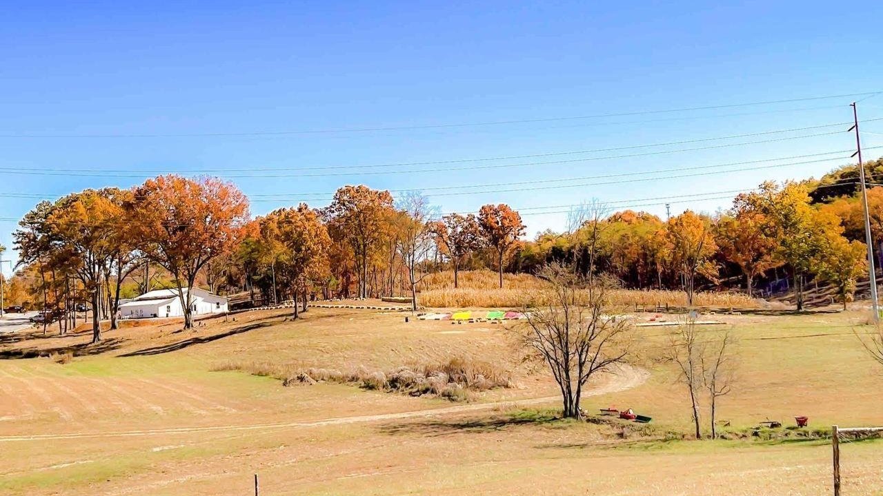 UT System Partners with Alumna-Owned Winery to Feature UT-Themed Corn Maze