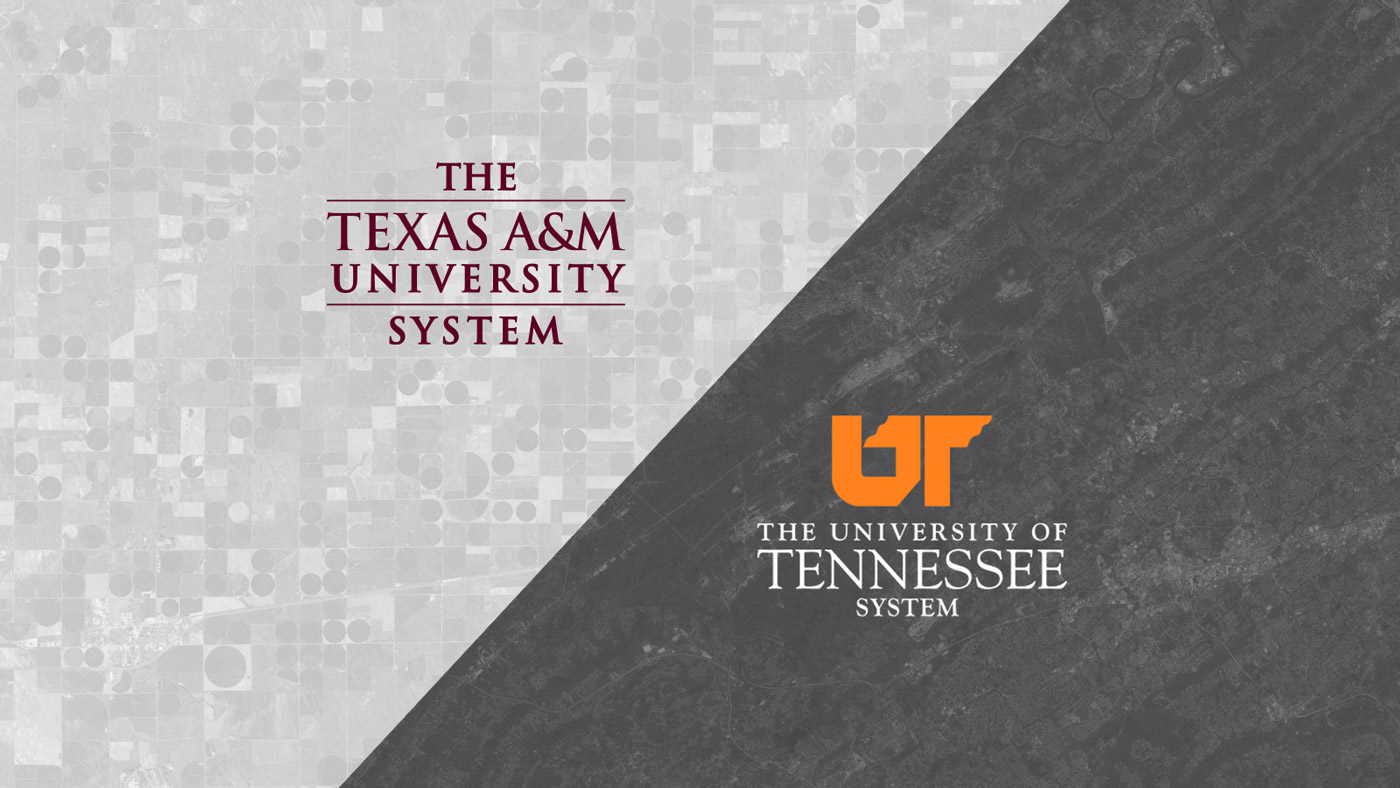 Texas A and M University of Tennessee