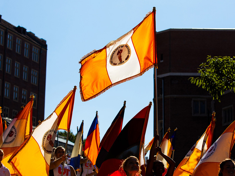 Large collection of UT flags, with one raised higher than the rest against a blue sky background.