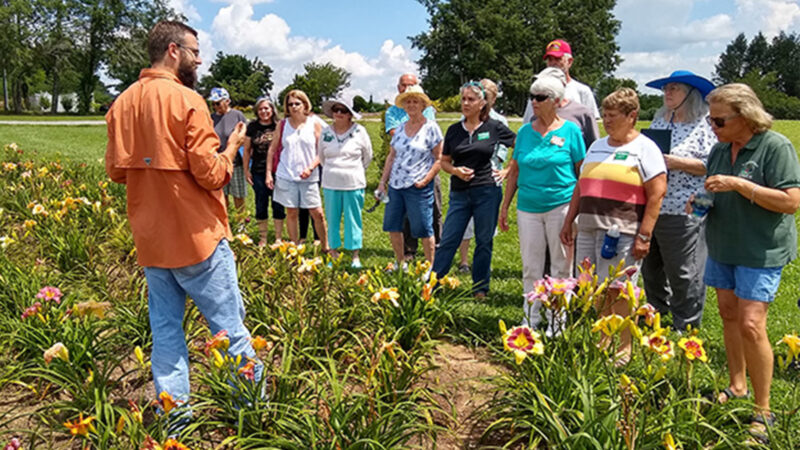 Master Gardeners in Cumberland County learn about day lilies in the UT Gardens, Crossville.