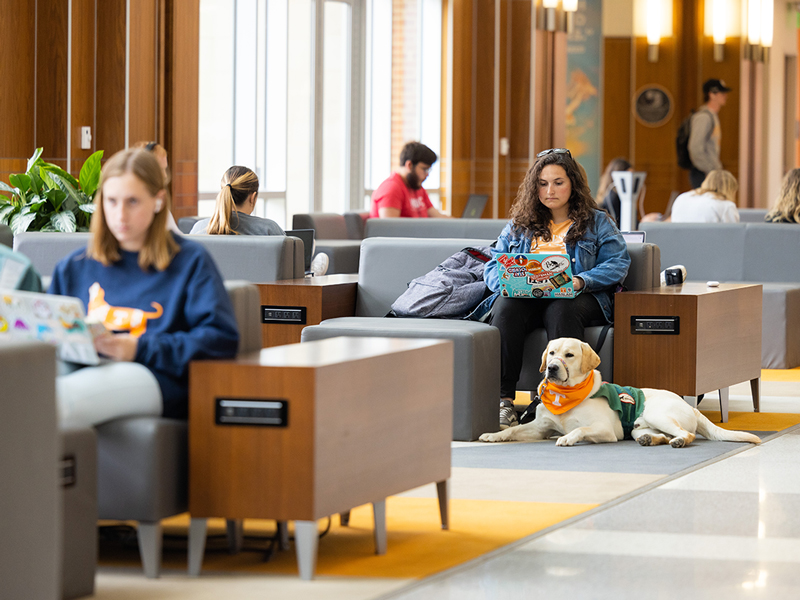 Students in a common area working on laptops while a female student is accompanies by a VOL puppy.