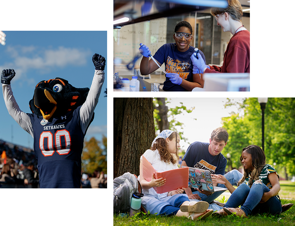 A collage of images from UT Martin: the UTM mascot pumps his fists in the air during a football game; two students working with in a lab; three students studying on a campus lawn;