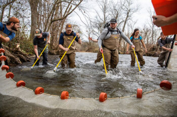 A group of people wading in a creek while using a net and electroshock poles.