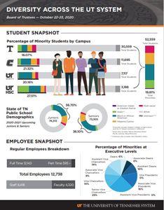 Diversity Across the UT System – October 2020