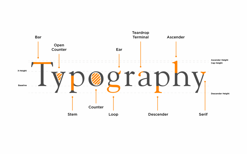 Graphic displaying the various elements of typefaces and letterforms.