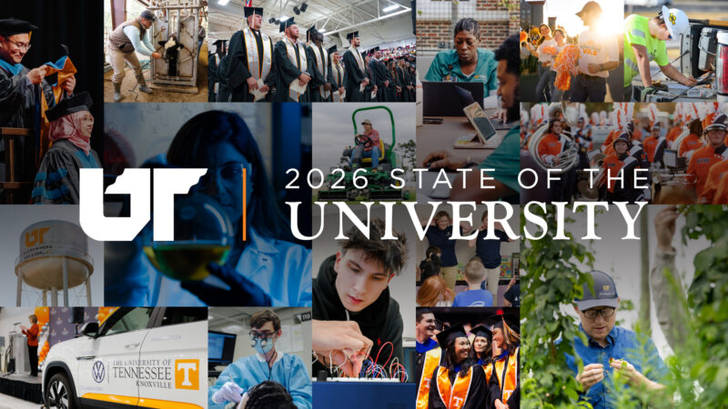 Collage of photos from across the UT System's campuses and institutes during 2025.